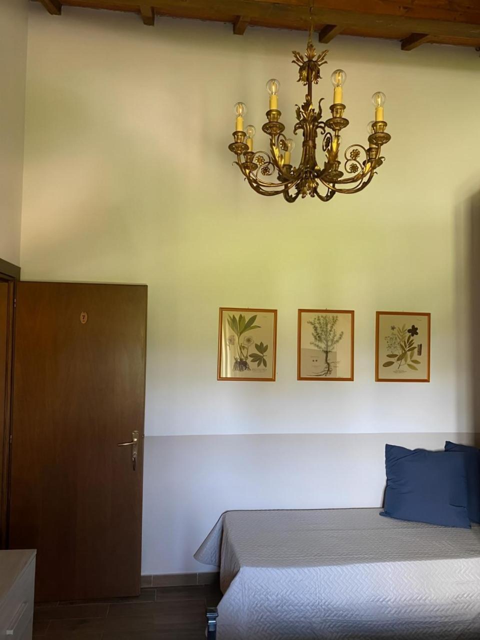 Agriturismo La Luciana كاستيغليون ديلا بيسكايا المظهر الخارجي الصورة