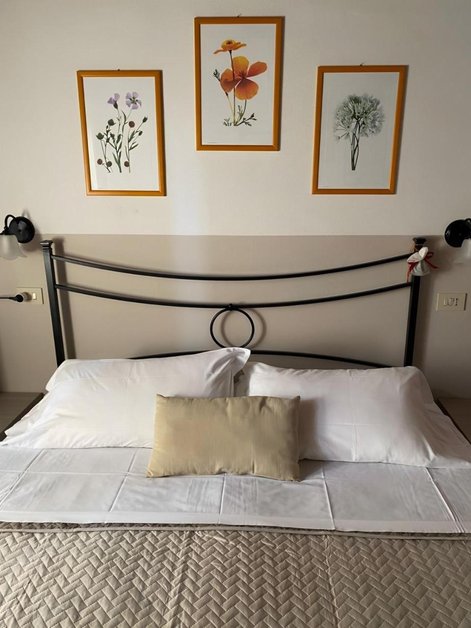 Agriturismo La Luciana كاستيغليون ديلا بيسكايا المظهر الخارجي الصورة