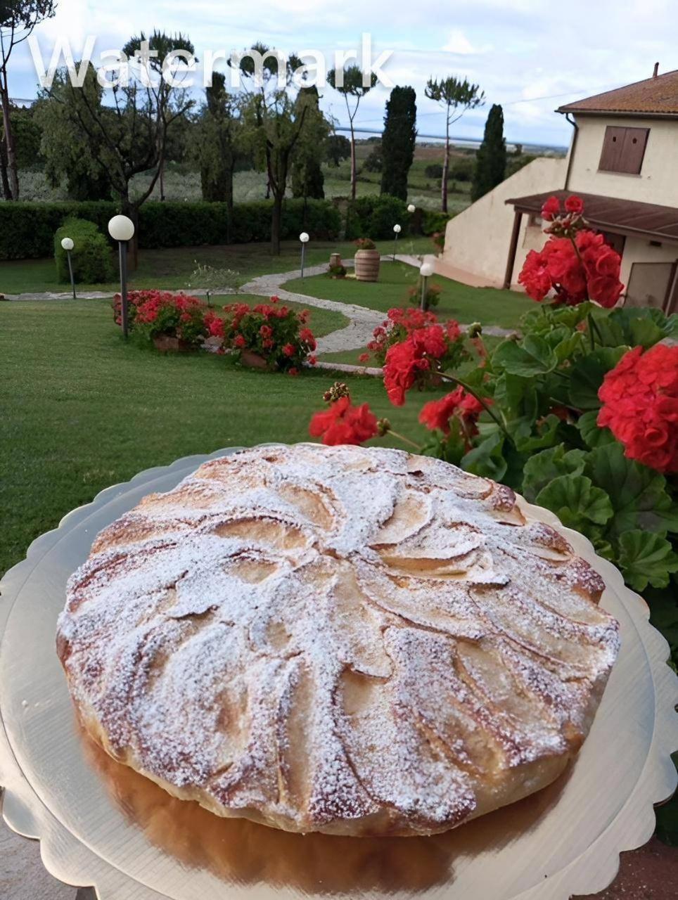 Agriturismo La Luciana كاستيغليون ديلا بيسكايا المظهر الخارجي الصورة